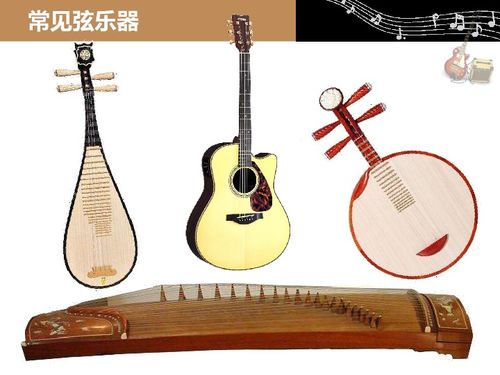 粵教版四年級上冊科學(xué) 設(shè)計與制作我們的小樂器